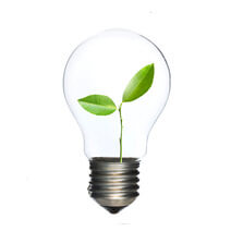 lightbulb