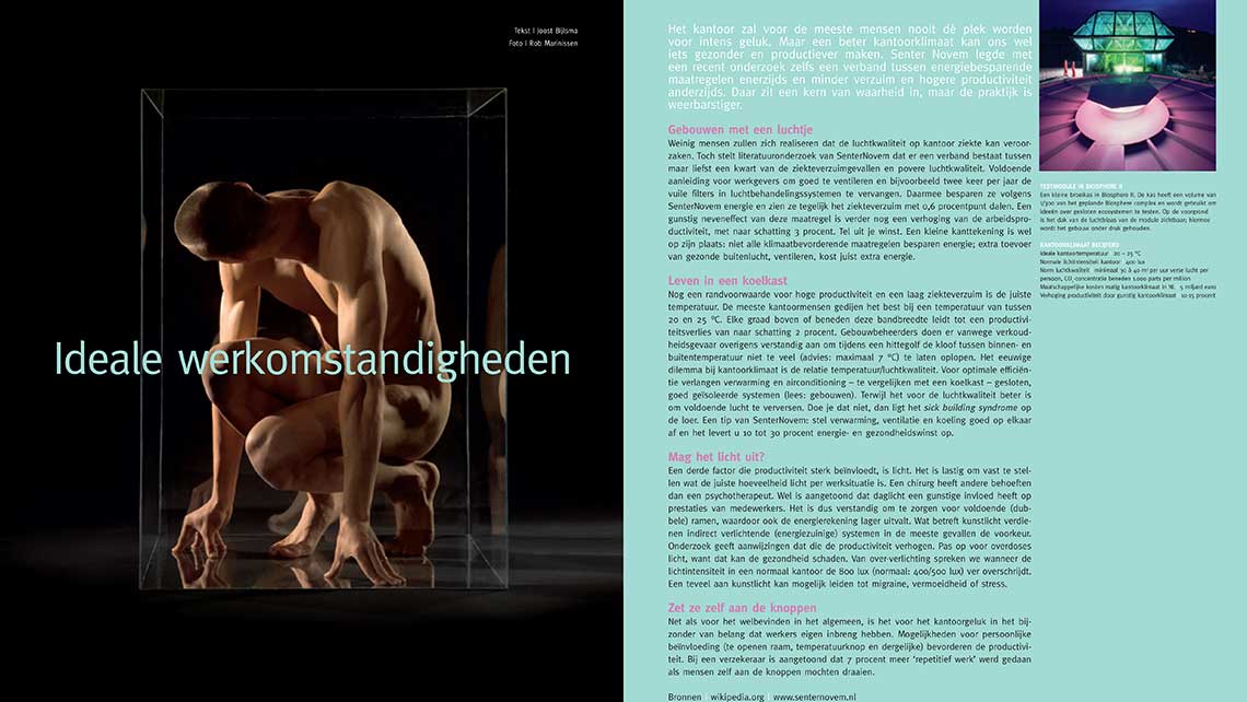 Lumen Magazine ideal work climate article